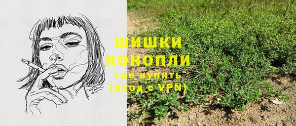гидра Киренск