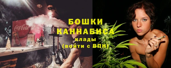 гидра Киренск
