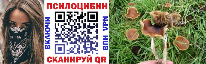 Галлюциногенные грибы Cubensis  Купить закладки  Янаул 